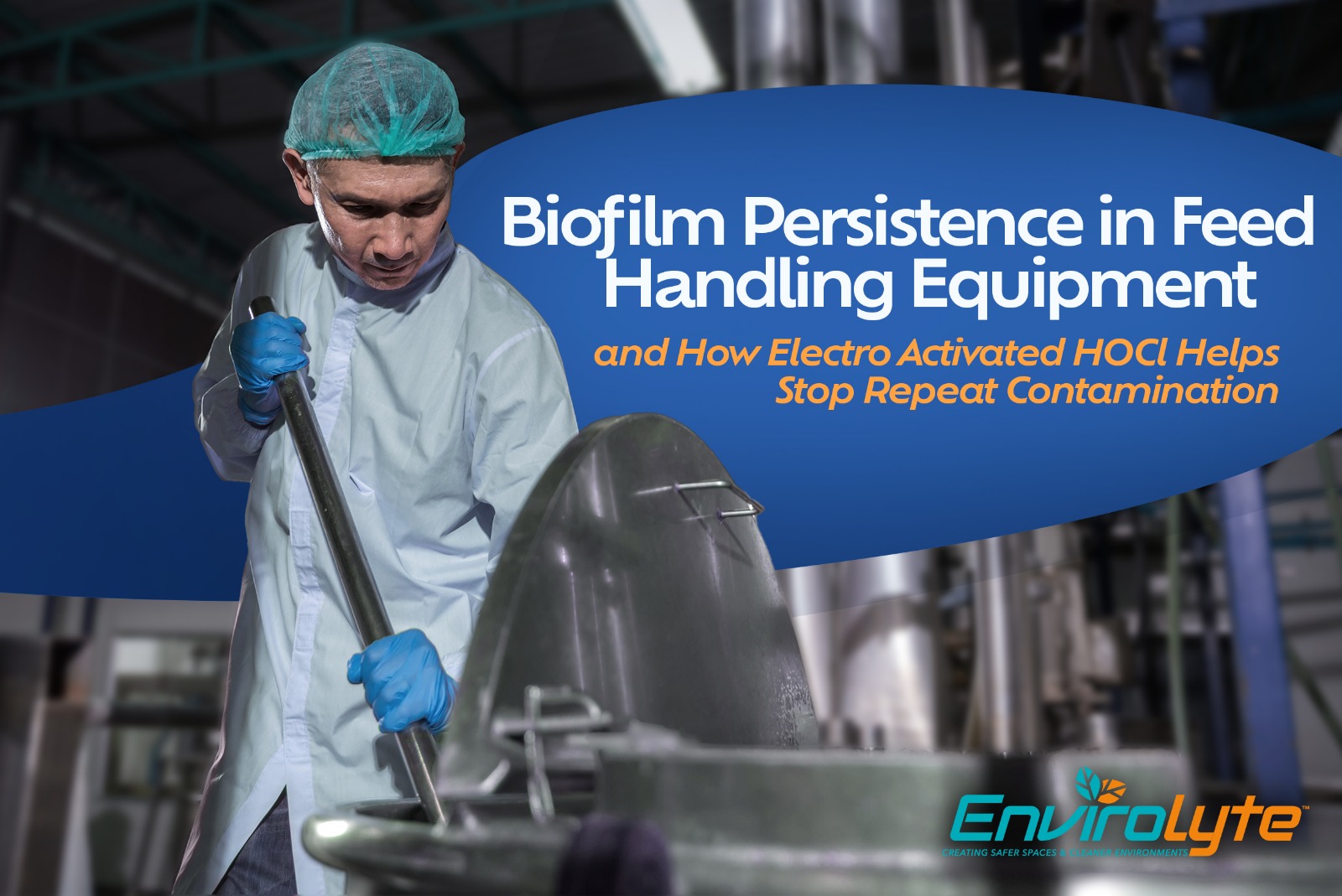 Biofilm Persistence in Feed Handling Equipment Biofilm persistence in feed handling equipment and sanitation challenges in feed mills